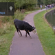 Image via Google Maps.